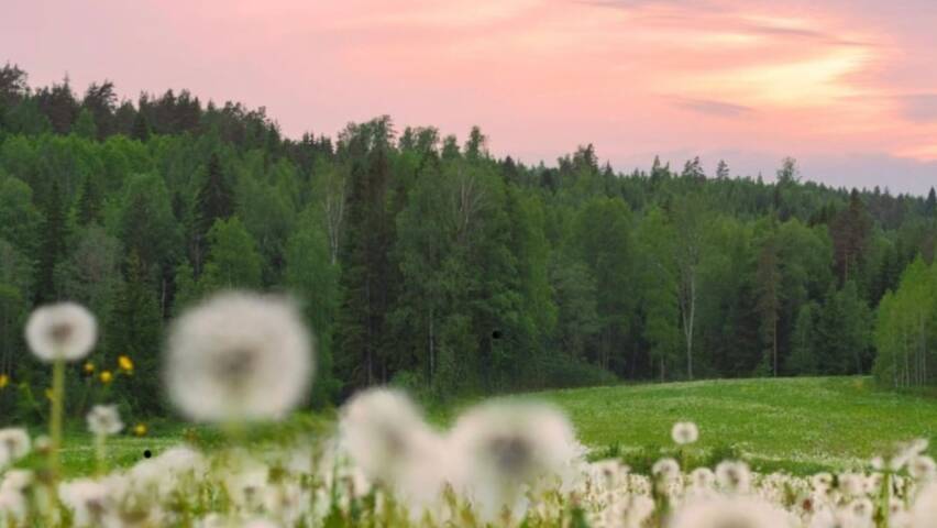 maisemakuva