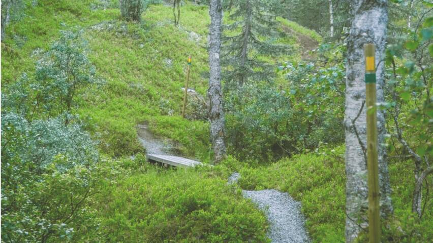 metsäpolku.