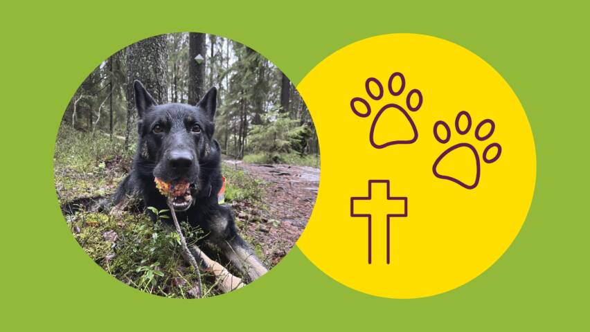 Koira, risti ja tassunjäljet