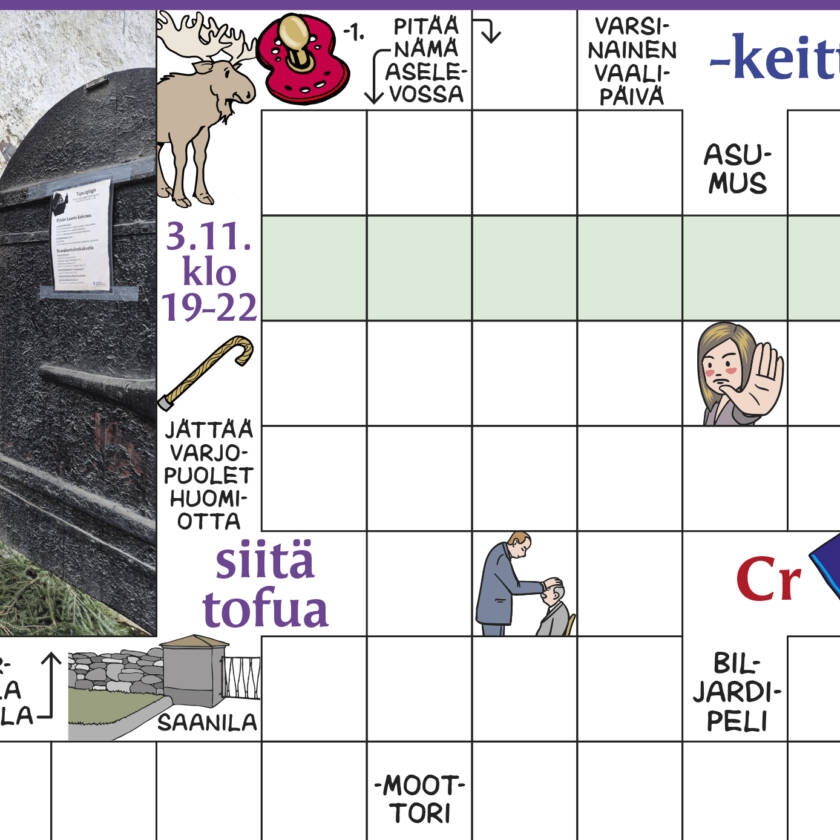 Vinkkikuva ristikosta